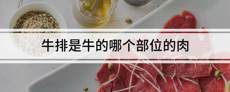 牛排是牛的哪个部位的肉(图1)