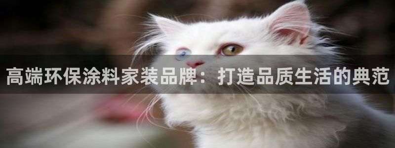 和记平台怎么样:高端环保涂料家装品牌:打造品质生活的典范